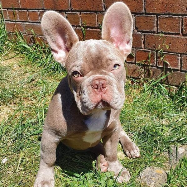 Precious